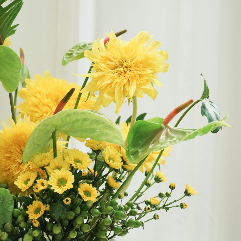 1745893074KnpYE The Yellow House No.5