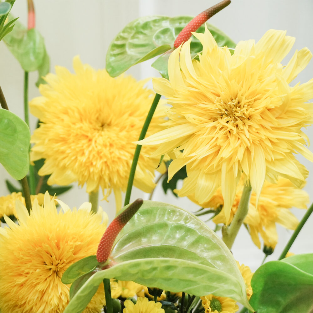 1745893081H3wWy The Yellow House No.5