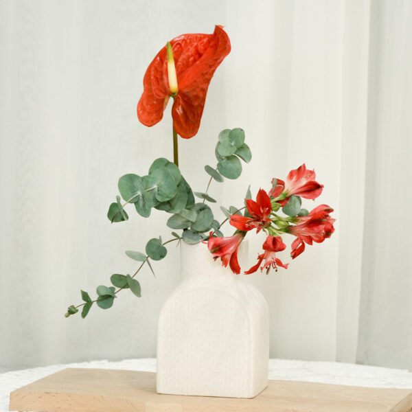 1761139426LC6mv 日不落|現貨