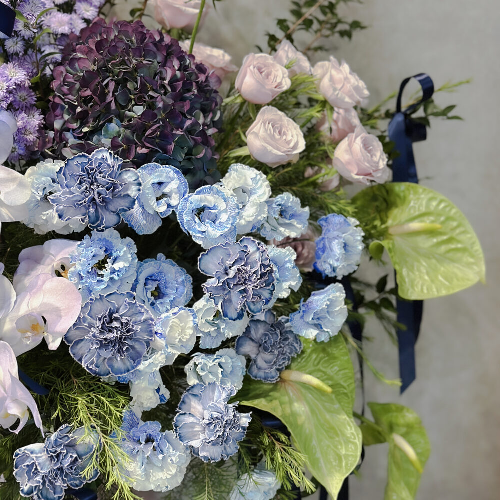 子瑜回家 演唱會花「藍」