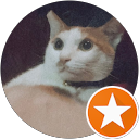 馮寶寶 profile picture