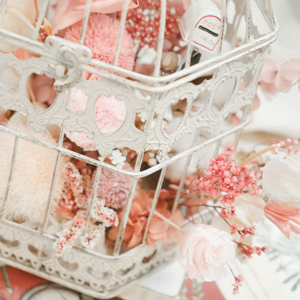 download-2 愛情牢籠