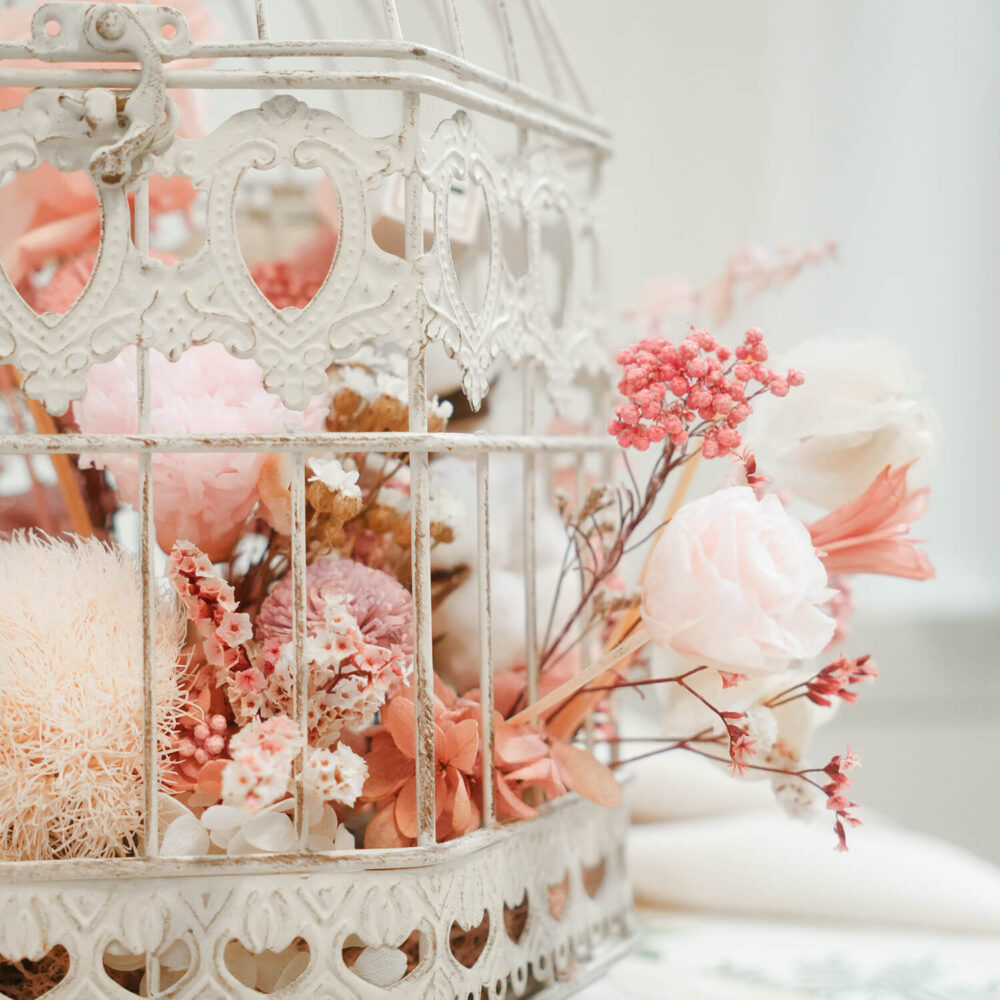 download-3 愛情牢籠