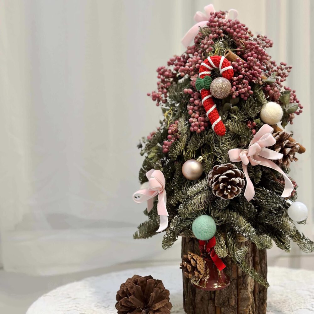 1705078394MdumW 冬青聖誕樹
