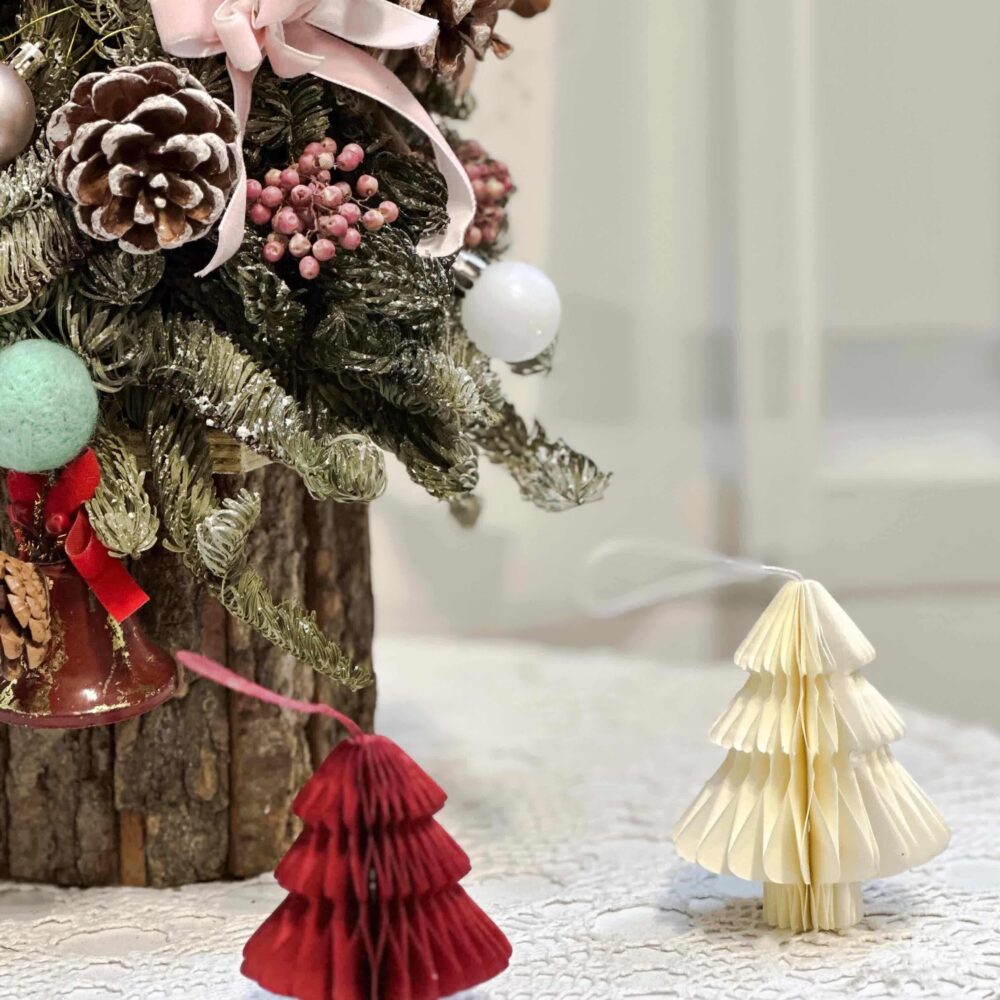 1705078396pzcHP 冬青聖誕樹