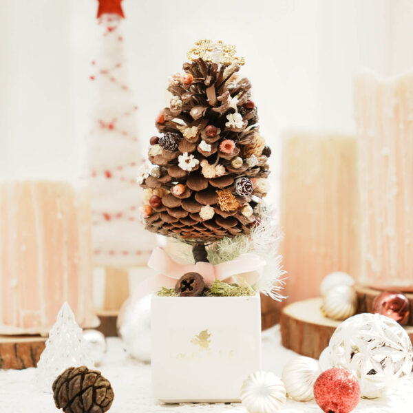 奇奇蒂蒂 Samta Tree