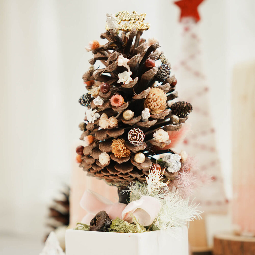 奇奇蒂蒂 Samta Tree