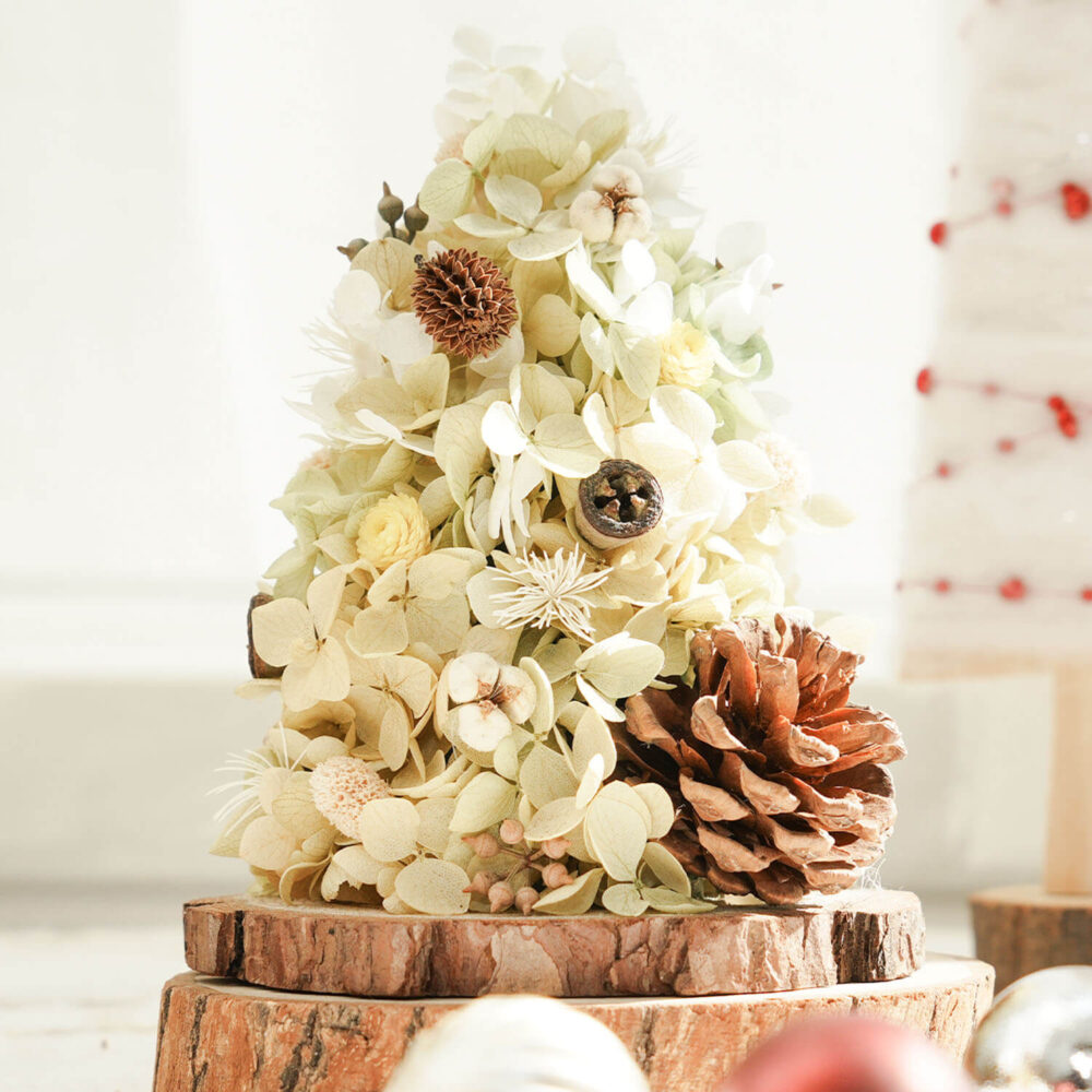 173177147358XIL 聖誕秀秀