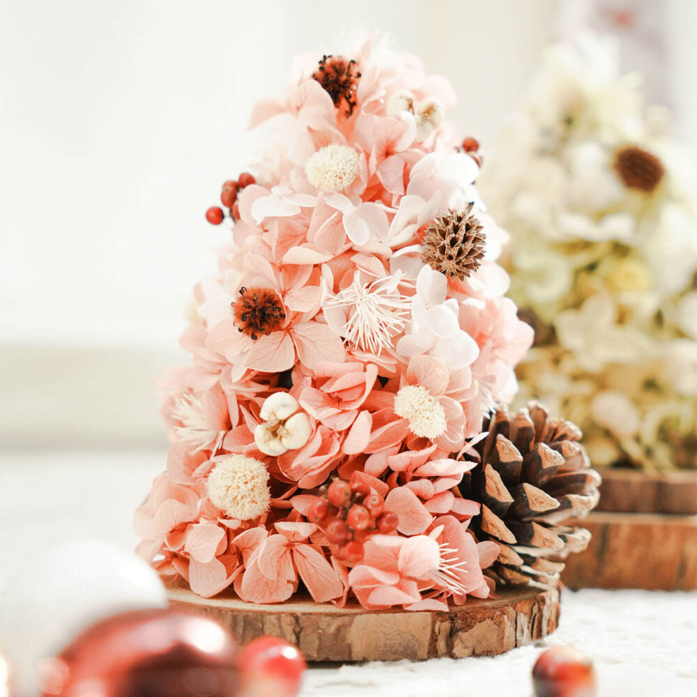 1731771473KaxBD 聖誕秀秀