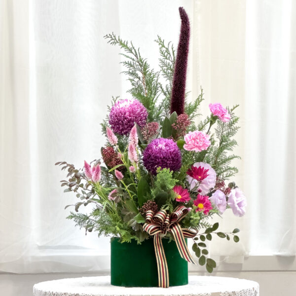 森林裡的聖誕燭光