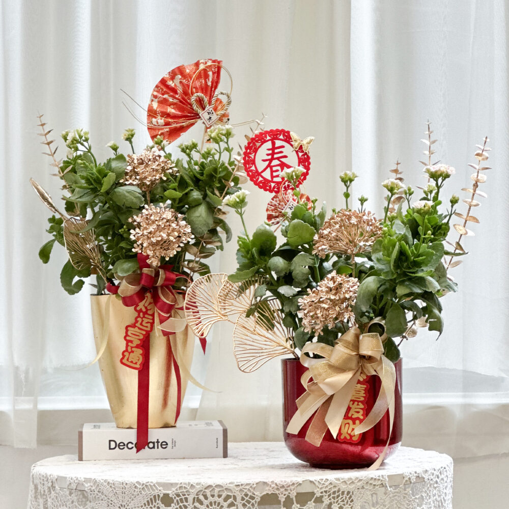 1767498621H473K 長壽花