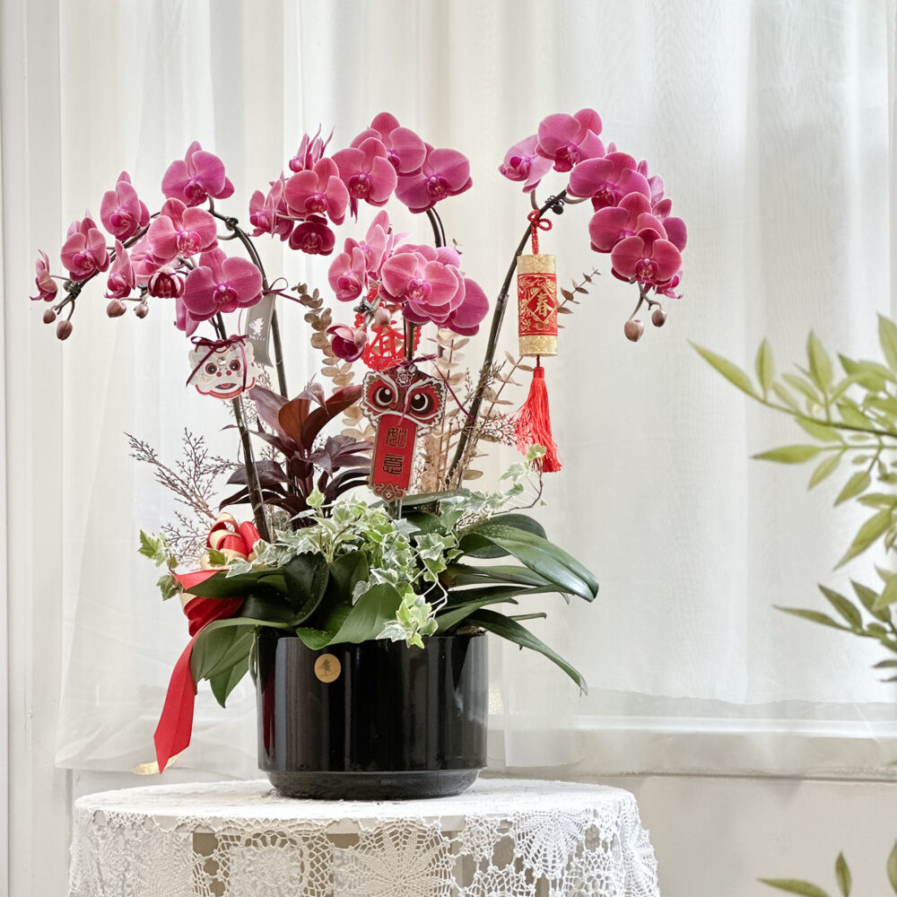 17698492816uNrI 春序蘭華