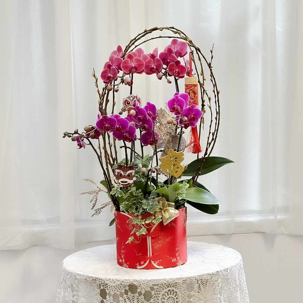 1769849354JHYUQ 春日蘭景