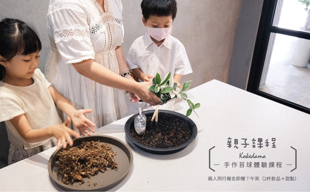 【親子體驗課】親子手作苔球體驗課程Mossball