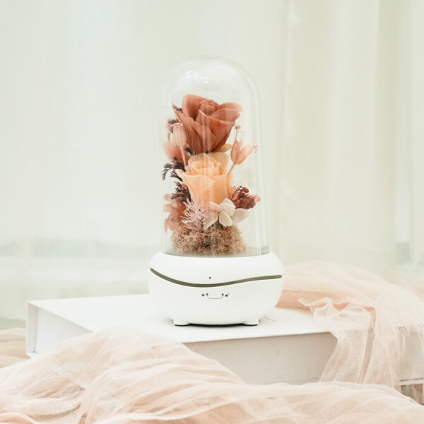 永生花香氛機 ｜限量｜