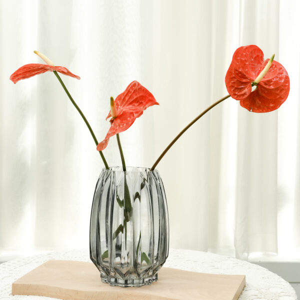 玫瑰少年｜預購