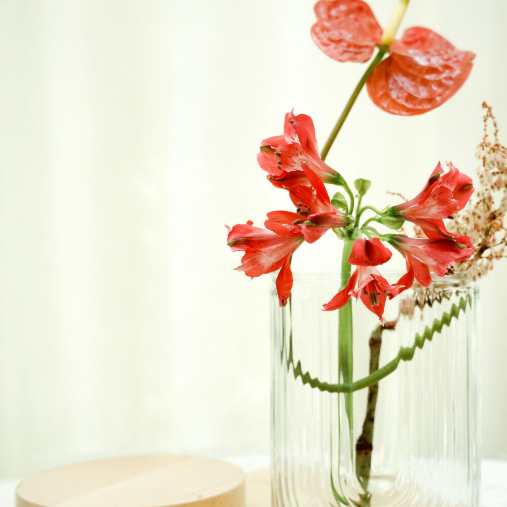 女人心事｜預購