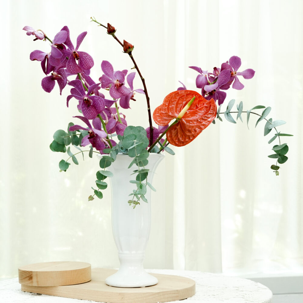 歐洲小花園｜預購