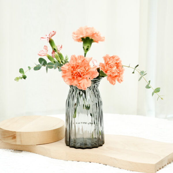 馬德里不思議｜預購