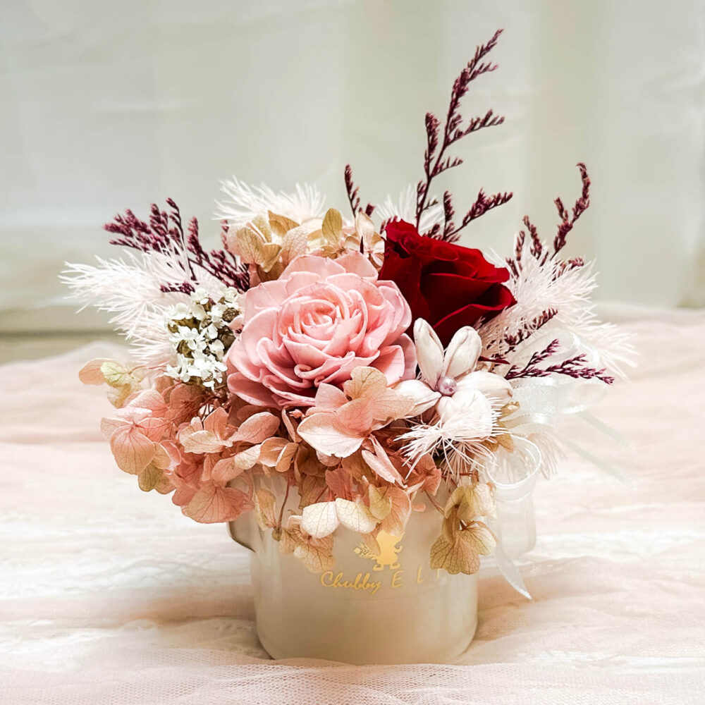 布拉尼 迷你永生盆花