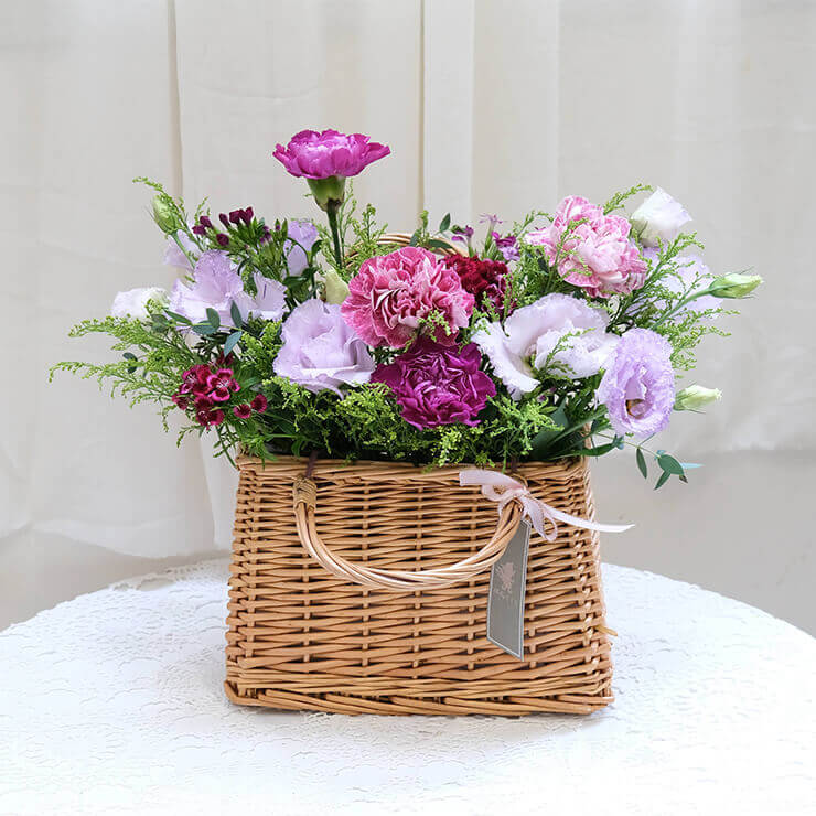 野餐提籃 (款式隨機）