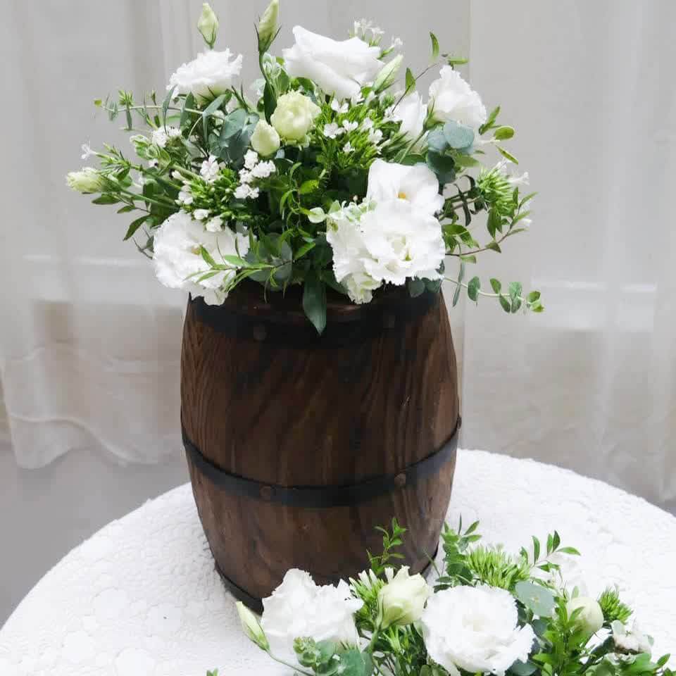 阿爾貝拉 鮮花盆花