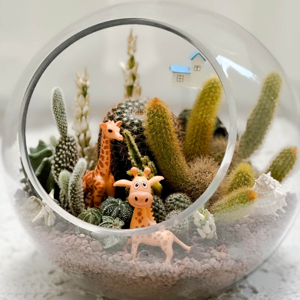 斜口仙人掌玻璃盆