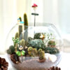 動物園仙人掌玻璃圓球