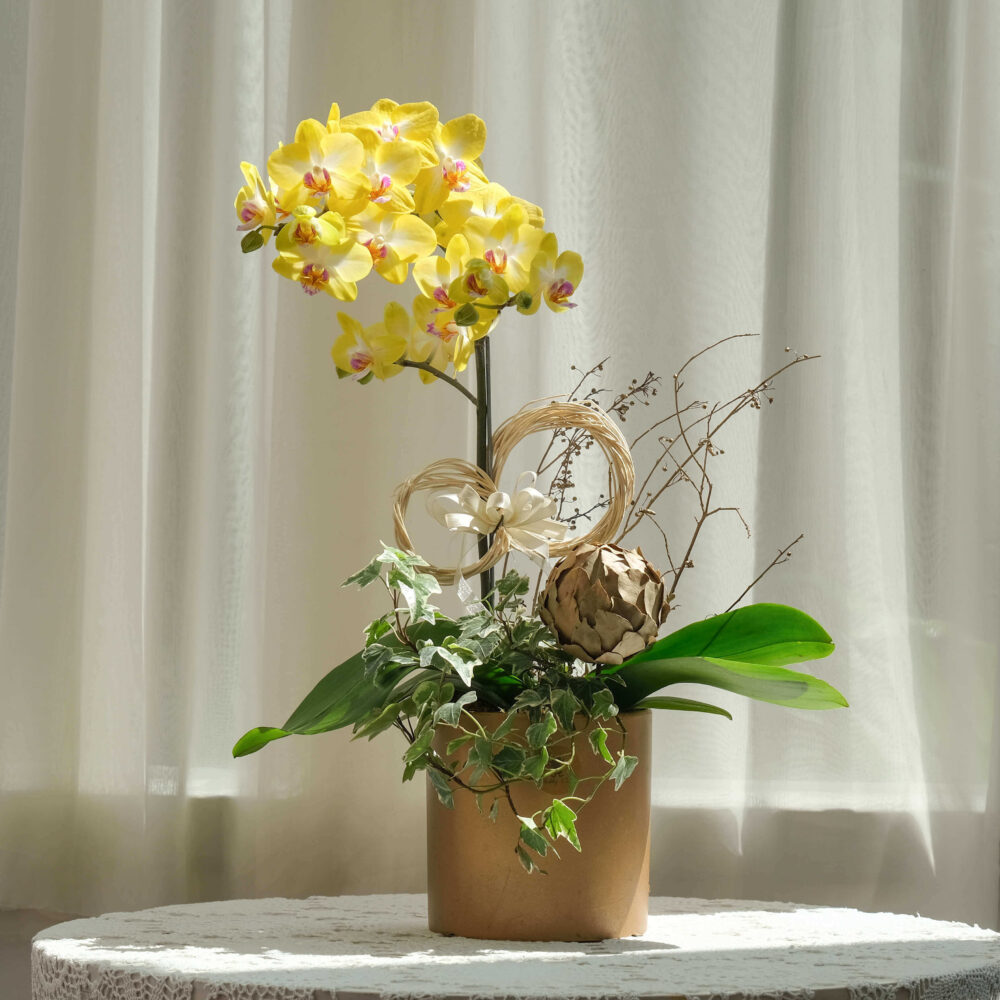 蘭亭序 蝴蝶蘭桌上型花禮