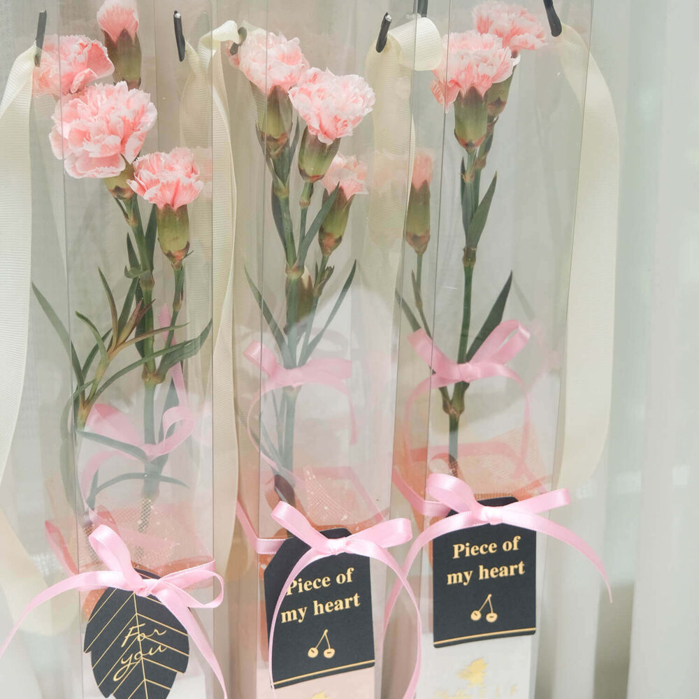 一馨愛妳｜台灣中康