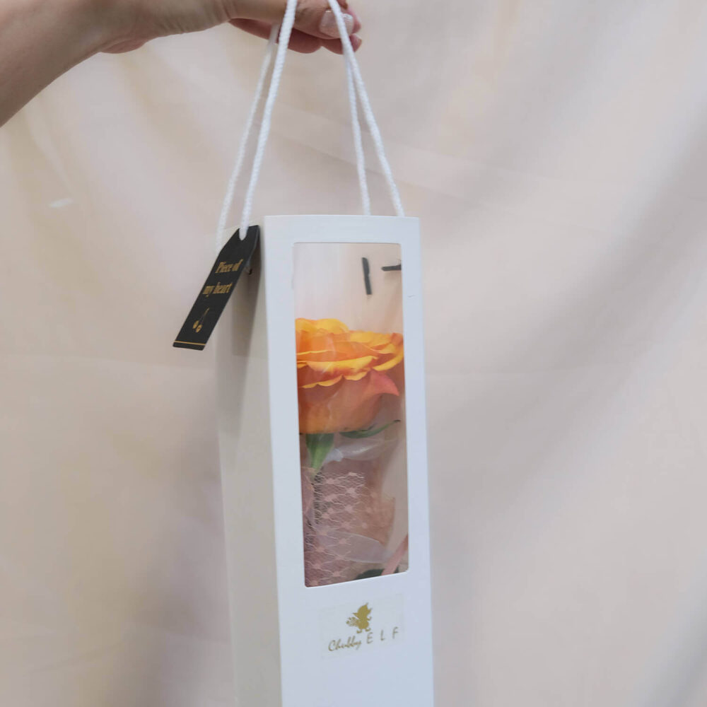 帶妳走 ｜ 玫瑰 (完售)