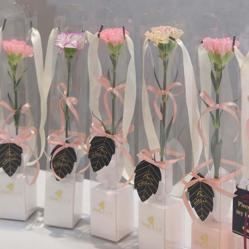 真馨愛您｜進口大康 |完售|