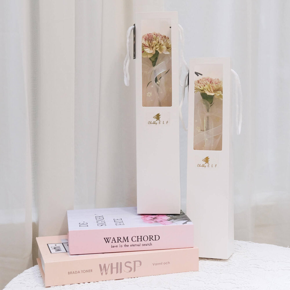 帶妳走 ｜進口大康 （完售）