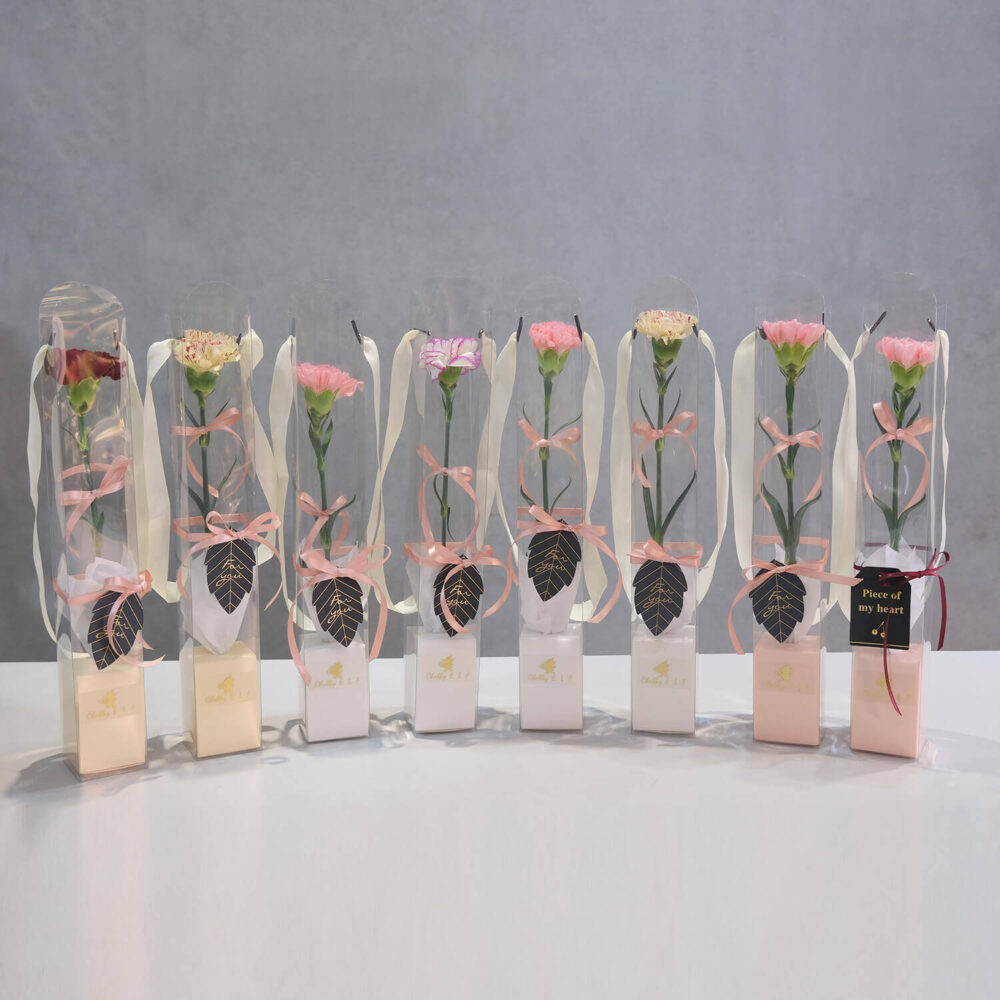 真馨愛您｜進口大康 |完售|