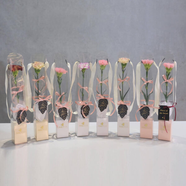 真馨愛您｜進口大康 |完售|