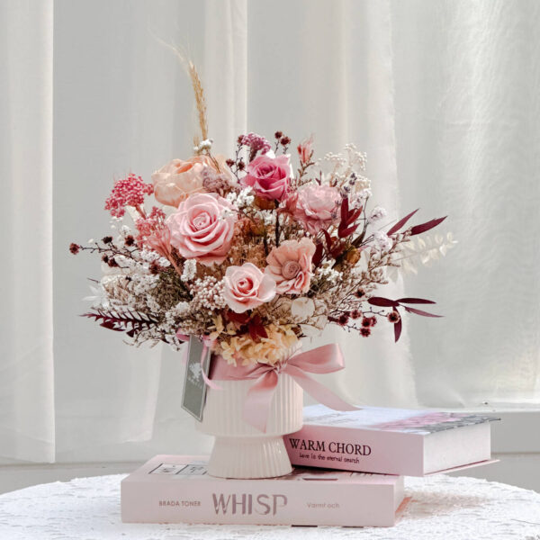 拉斯科羅 永生盆花