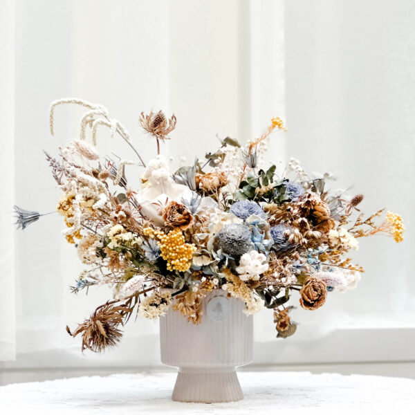 哈瓦那 永生花盆花