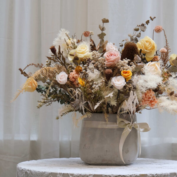 熊布朗永生盆花