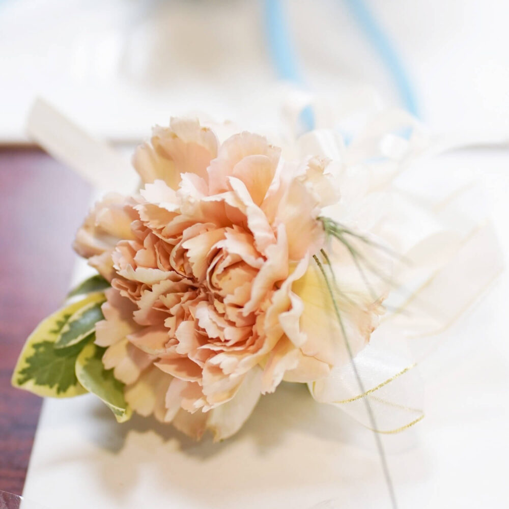 奧蕾莉亞 手腕花