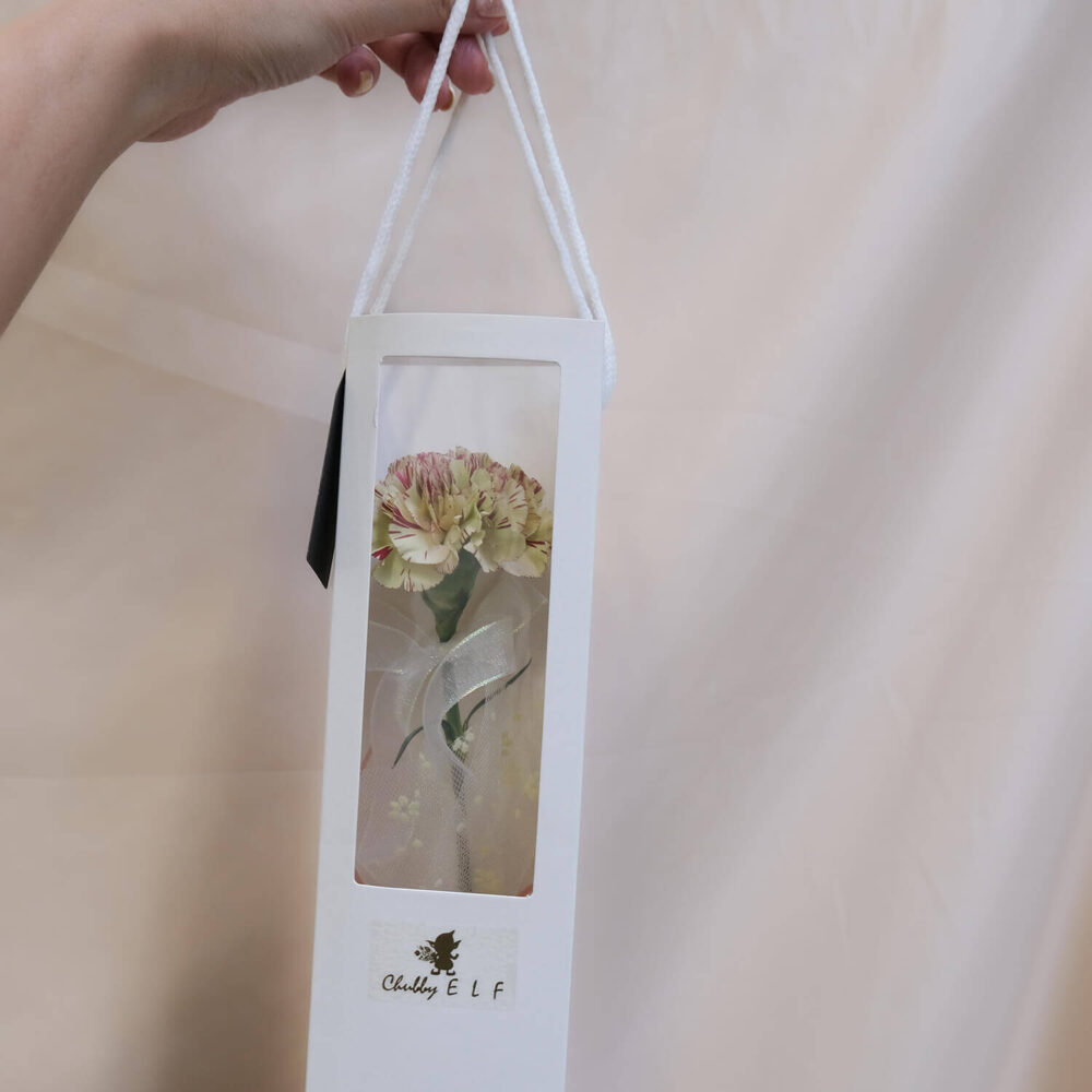 帶妳走 ｜進口大康 （完售）