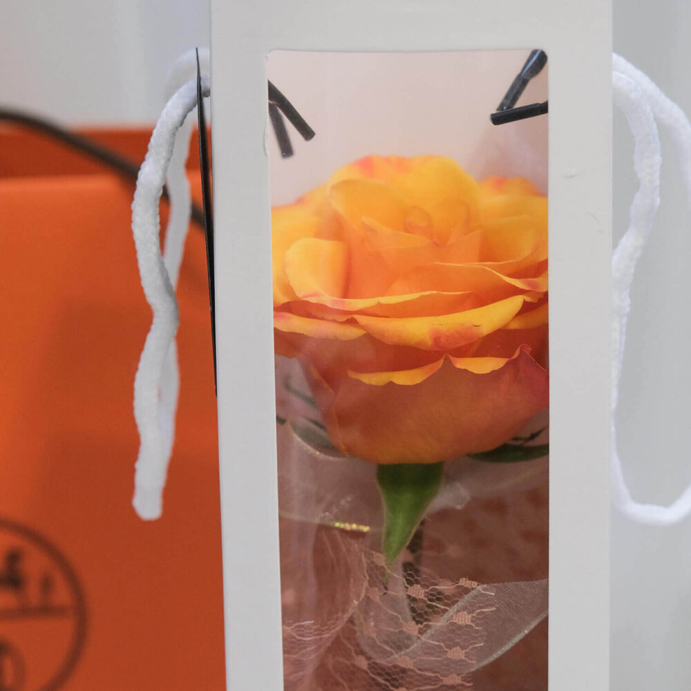 帶妳走 ｜ 玫瑰 (完售)