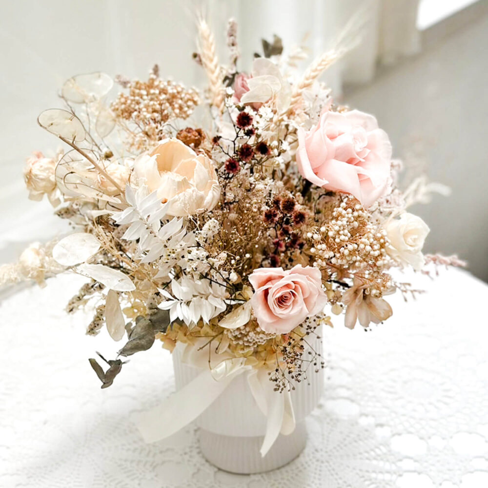 拉斯科羅 永生盆花