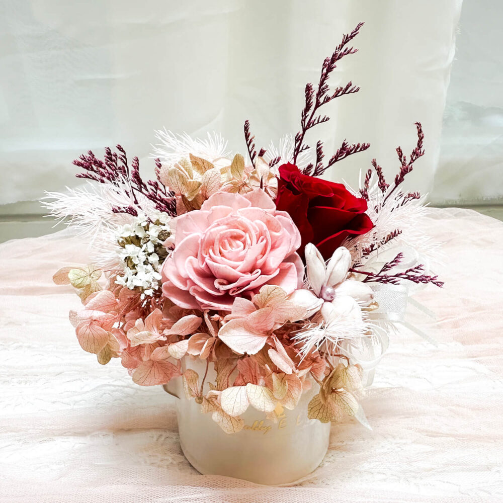 布拉尼 迷你永生盆花