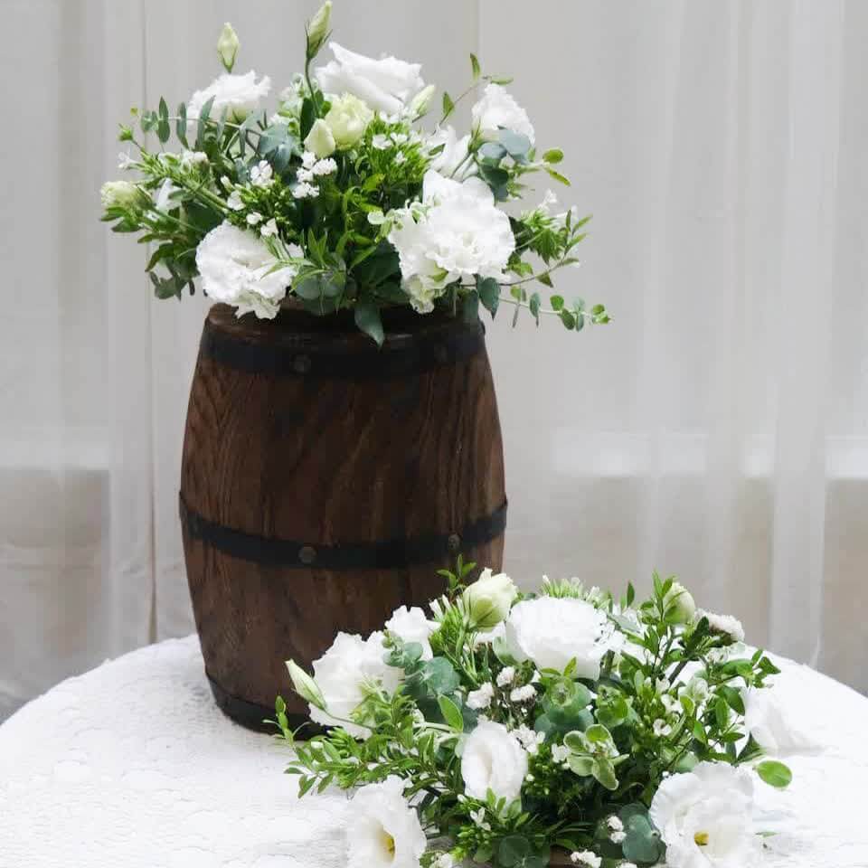 阿爾貝拉 鮮花盆花