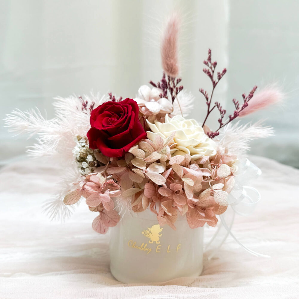 布拉尼 迷你永生盆花