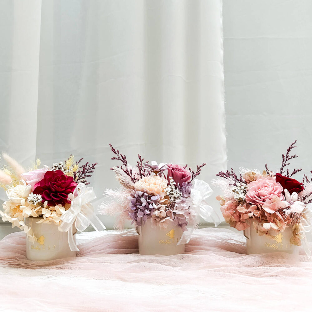 布拉尼 迷你永生盆花