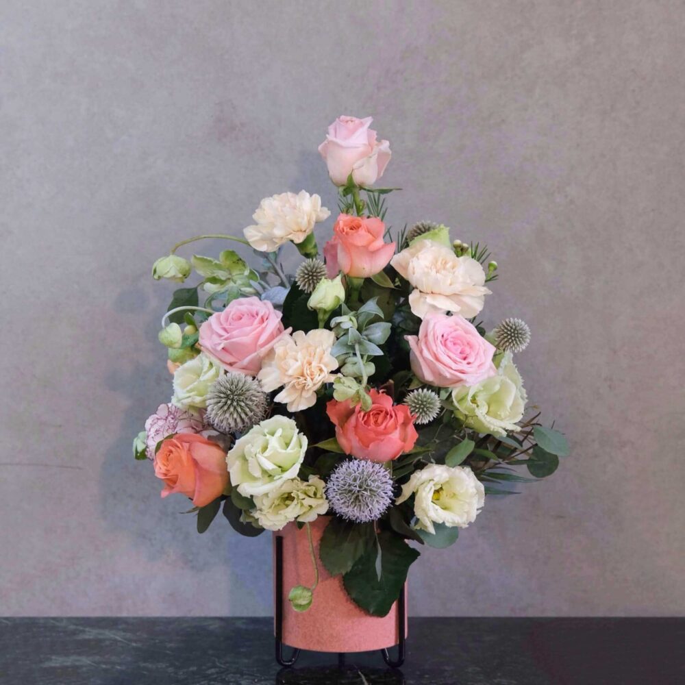 特蒂斯 鮮花盆花