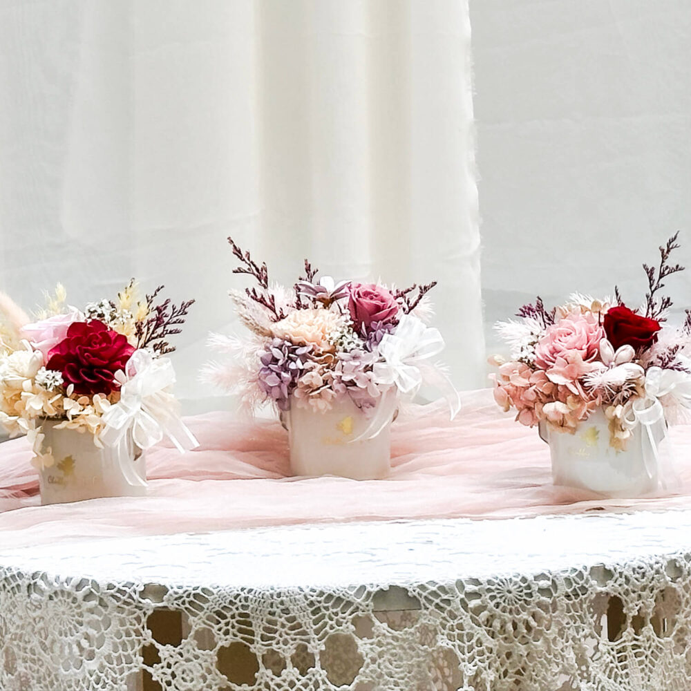 布拉尼 迷你永生盆花