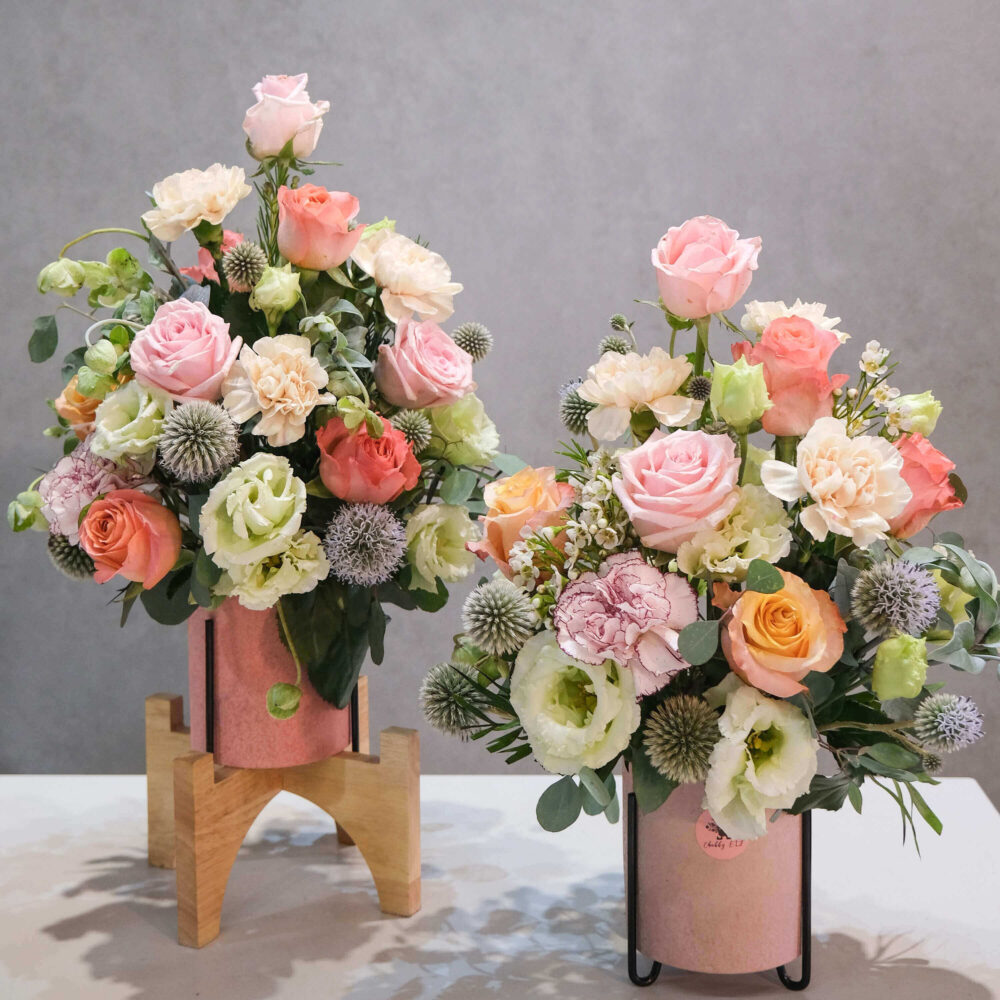 特蒂斯 鮮花盆花