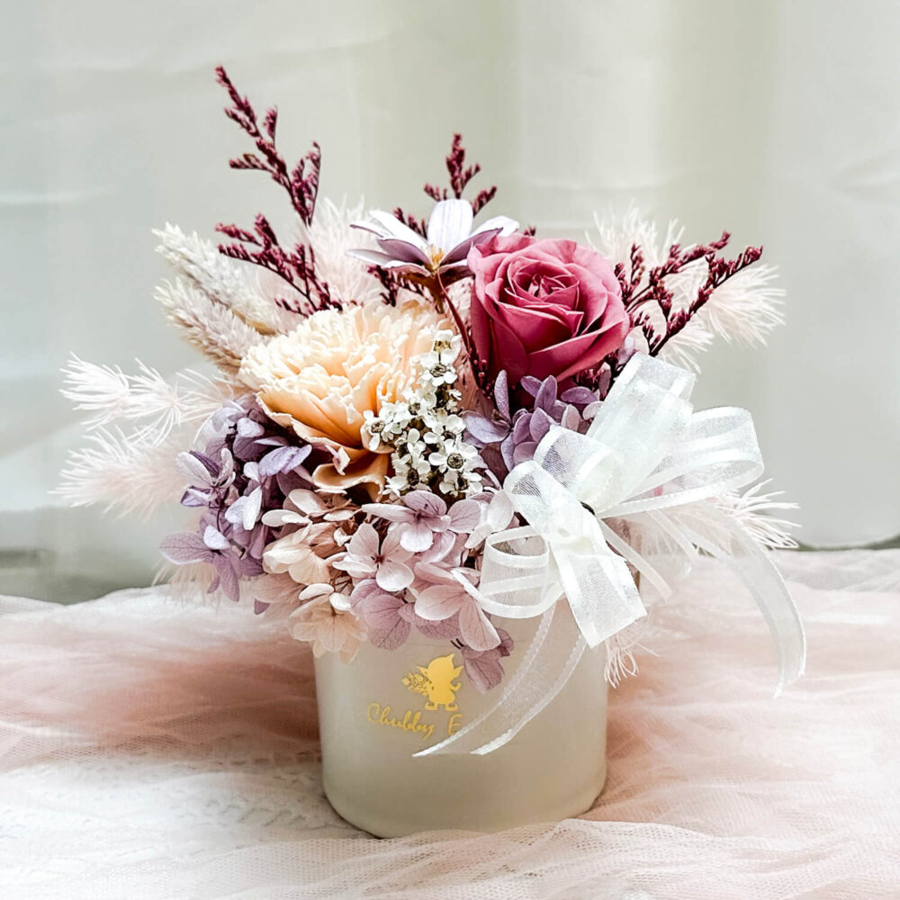 布拉尼 迷你永生盆花